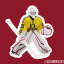 patron-saint-of-boston-hockey