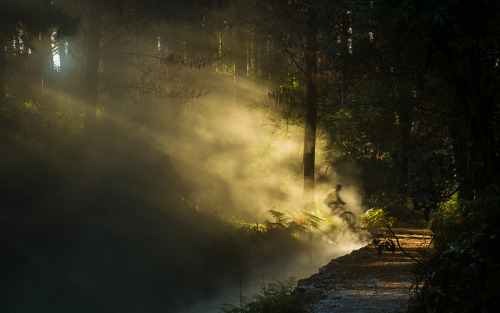 Ghost Cyclist by Phil_NZ on Flickr.