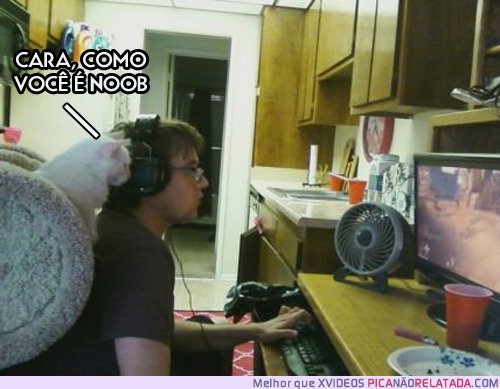 PICA NÃO RELATADA