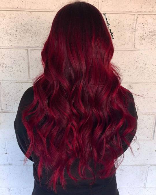 #maroon hair on Tumblr
