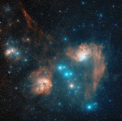 craigbear:  Flaming star nebula. 
