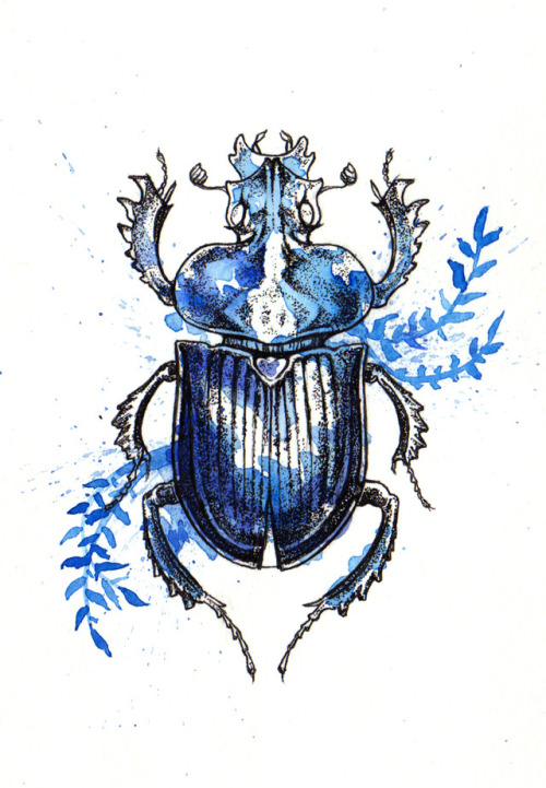 As always, I’m late to Inktober, so I’m going to post a series of insects I did for my art show last