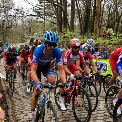 laicepssieinna:  #cycling #kemmel #gandwevelgem #pave #cobble #today #paolobettini by paris_roubaix1