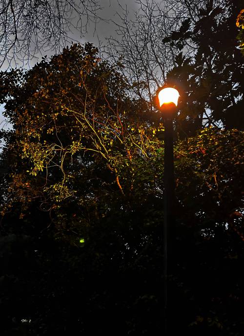 Lamplight Against Dark Clouds, Miami FL