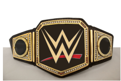 wweb3a7ris:   The new WWE World Heavyweight Championship  NOOOO!NO! NO!NO !!FUCK NO!  So there are going with the WWE Network logo then&hellip;.I mean we all knew it was going to happen sometime. It doesn&rsquo;t look that bad&hellip;.