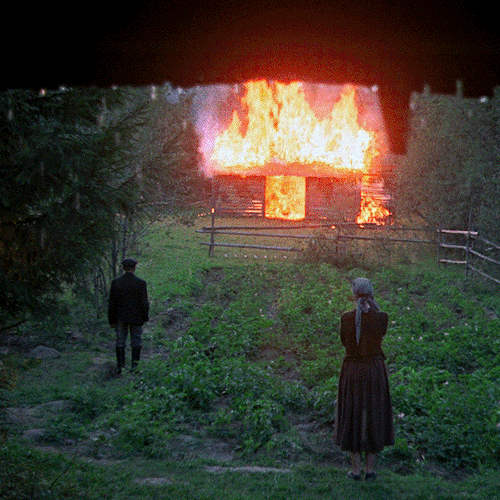 winterswake: ЗЕРКАЛО / THE MIRROR (1975) dir. Andrei Tarkovsky