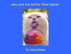 ecozay:  saucybane:    these powerpoint things are overdone but i liked this one  Well, i certainly find no points to argue over here XD &hellip; except maybe the ethical dubiousness of spaying/neutering children&hellip; &gt;.&gt;