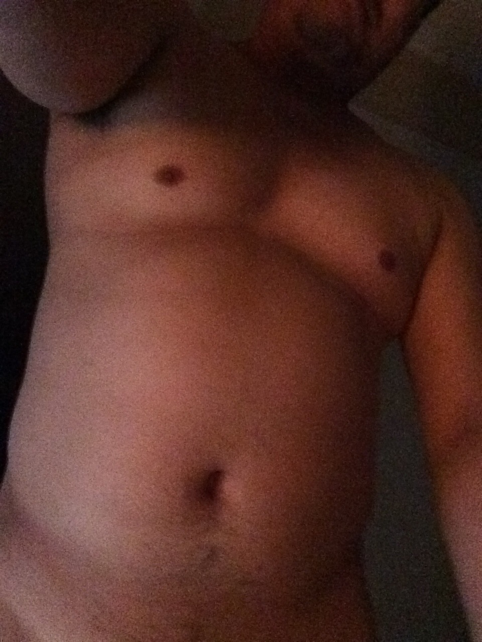 Asia bear
