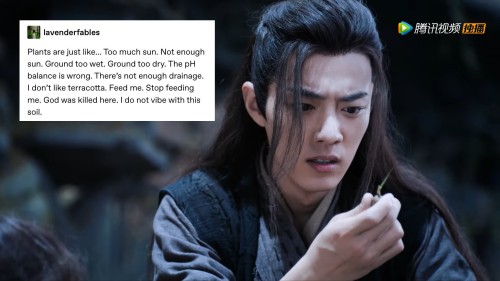 chaoticbiwuxian: The Untamed + text posts part 3