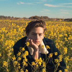 cigeur:  how perfect can cole sprouse get 