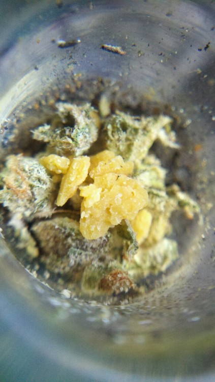 sailorstoner:  Maui Waui & God’s Gift Crumble