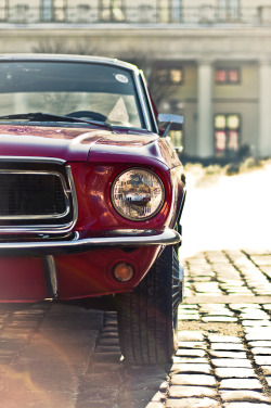 automotivated:  Ford Mustang (by pskrzypczynski) 