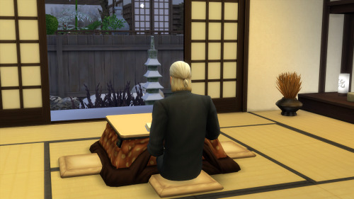 Masashi HomeHome No CC, playtested and furnished. Moveobjects must be “on” before placing.2 Bedrooms