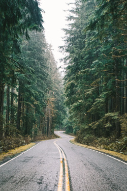 vhord:  chernobyl-tea-party:  n-c-x:  morgan-phillips:  Best Road?   nature blog  Mostly nature  strictly nature 