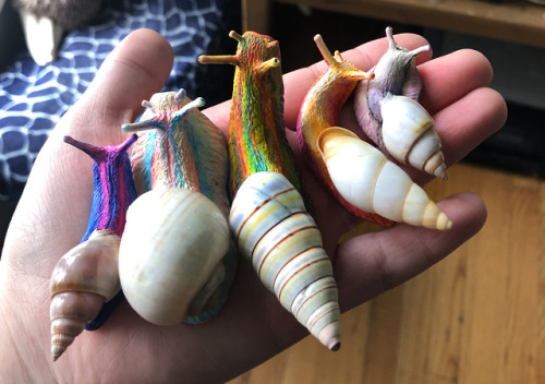 ink-the-artist: I’ve made some pride snails for my shop! Right now I’m waiting for 