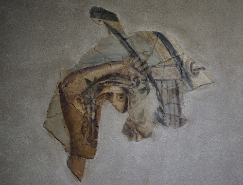 fuckyeahwallpaintings: Wall paintings from the House of Aion at Nea Paphos ,4th Century, today at Pa