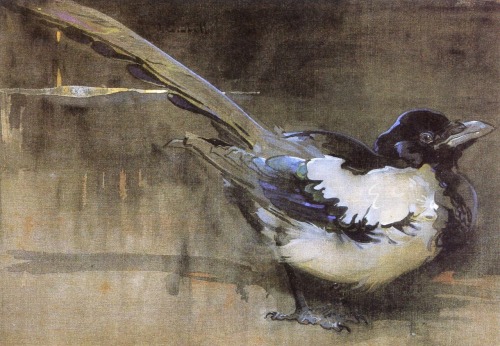 melimelo85:  Birds by Joseph Crawhall [English, 1861-1913]  