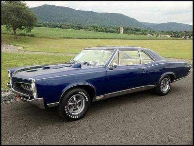 honeynuttkrunch:66 GTO