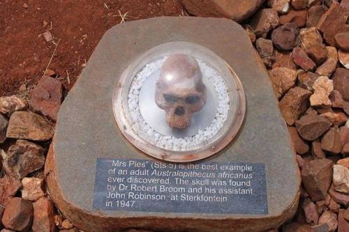 The Cradle of HumankindLocated 65 Km south west of South Africa’s capital city, Pretoria, is The Cra