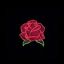 reedrosees