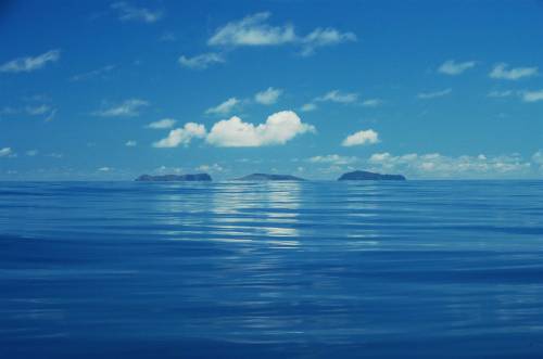 sixpenceee:Photographs of new pacific Island off TongaFor weeks in January, an underwater volcano se
