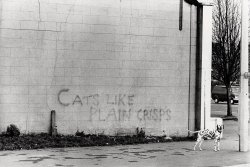 furtho:Roger Perry’s photograph of graffiti in Richmond, 1976 (via here)