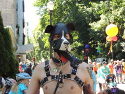 pupturbo:    Pup Turbo at NW Pride 2015 