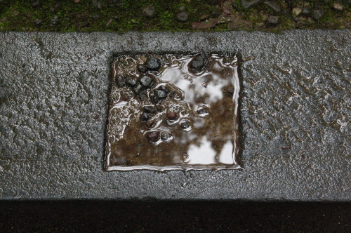 Missing tile, Toshogu, Nikko