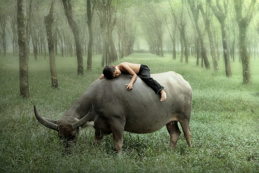 coffeenuts:  Fast Asleep by dewan irawan - http://bit.ly/1arHDLk 