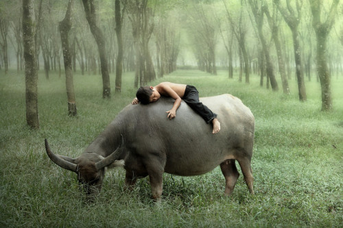 coffeenuts:  Fast Asleep by dewan irawan - http://bit.ly/1arHDLk 
