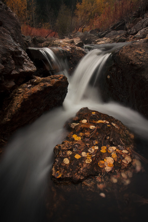 &ldquo;Autumn River&rdquo;Fresh out of the camera lol I took this shot about an hour ago and