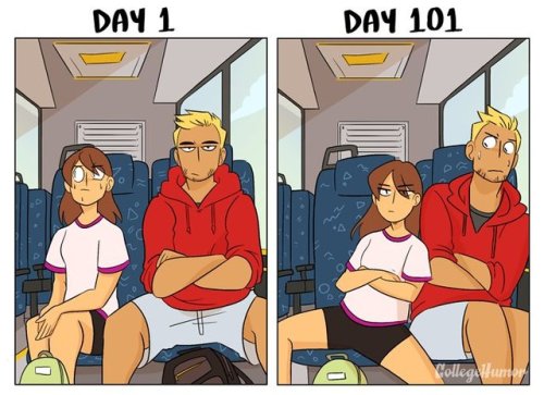 aprillikesthings: museumnelson:  republicansareahategroup:  pr1nceshawn:   Taking Public Transit: Day 1 vs Day 101.  I don’t get the last one e.e  If it is empty and the other cars are full there is a reason you don’t want to learn that reason   ^^^^^ 