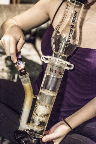 rogueganja: youll-make-it-thr0ugh