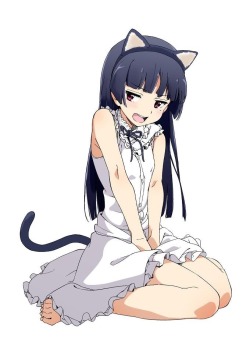 cat at sea