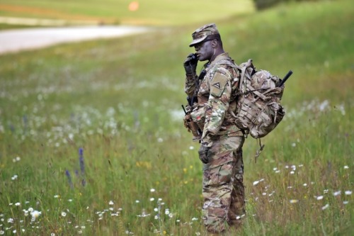 U.S. Army Com. Sgt. Maj. Patrick Kelly, with Observer Controller Team Mustang, Joint Multinational R