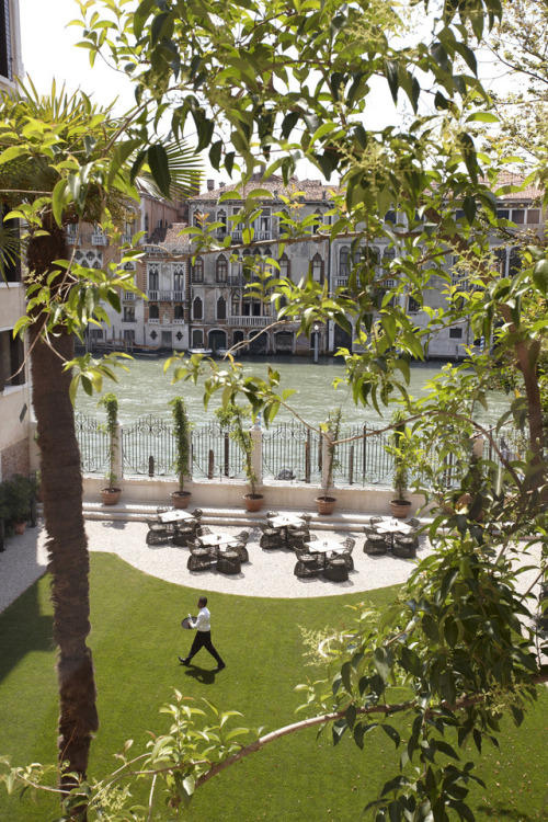 madabout-travel-design:Hotel Inspiration: Aman Canale Grande Hotel, Venice, Italy