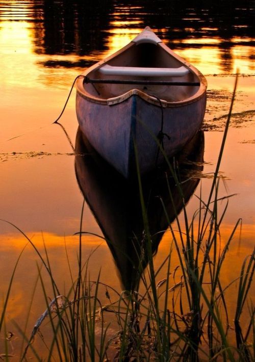 #thepondscall #tranquility
