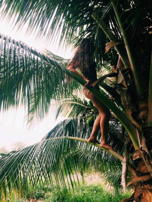 tropi-cally: beach vibes | caffeine dreams | stay golden ~