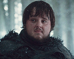 360cub:  D’awwwww. That cute little smile. I loved Samwell in the books but he’s