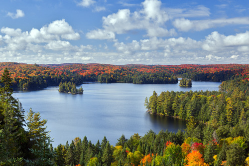 Algonquin Park day trip