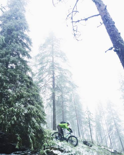 janijohansen: Monochrome birthday #fatbike ride. Jolly good  #visitrovaniemi #laplandfinland @peakpe