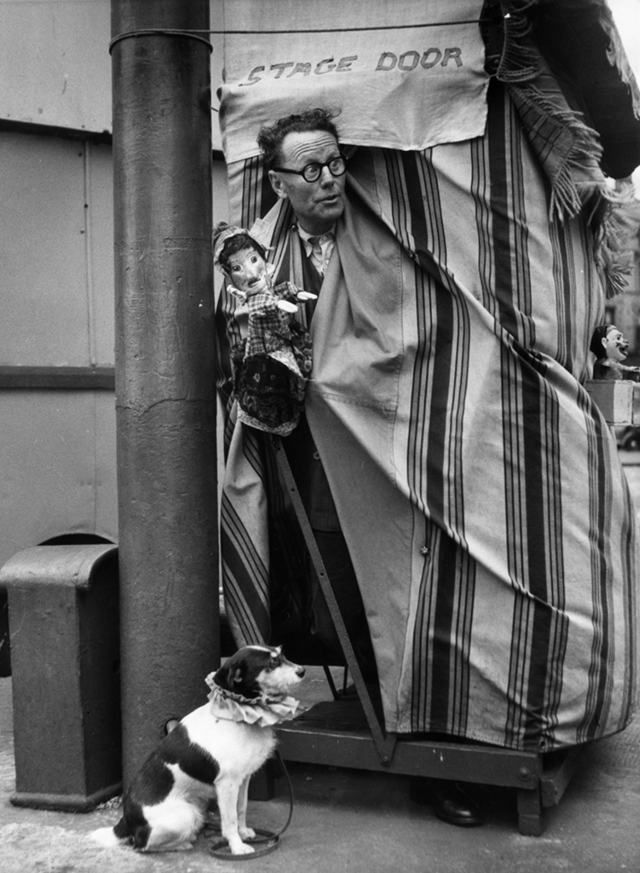 Bert Hardy     A Punch and Judy Puppeteer Looking Out from His Portable Stage, Liverpool     1953