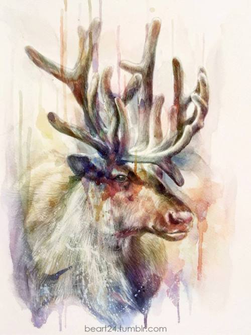 lohrien:  Illustrations by beart24 tumblr l behance l society6 l fb