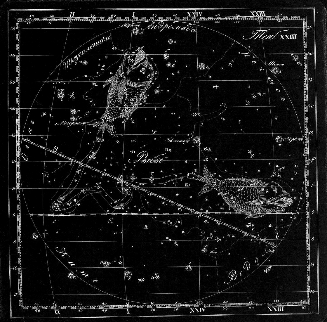 Созвездие рыбы на звездном. Созвездие рыбы. Созвездие рыбы на небе. Карта созвездий. Созвездие рыбы астрономия.