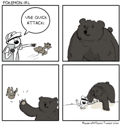 blazersatdawn:  Grizzly bear used maul 