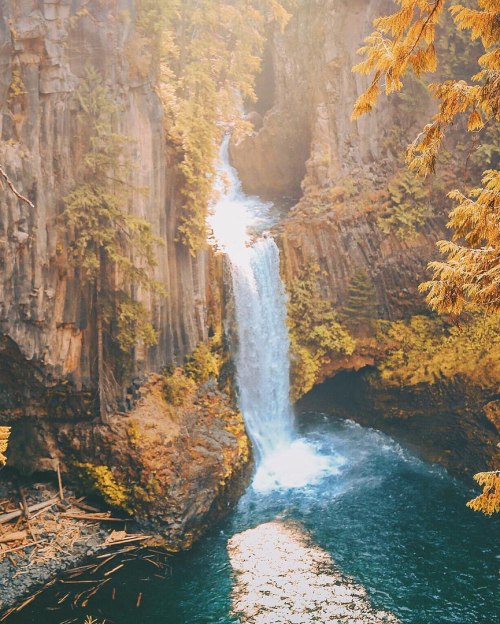 an-adventurers: Toketee Falls, OregonSet a fire in my soul.