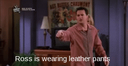 the-chanchanman:  Chandler and Ross’ leather pants!