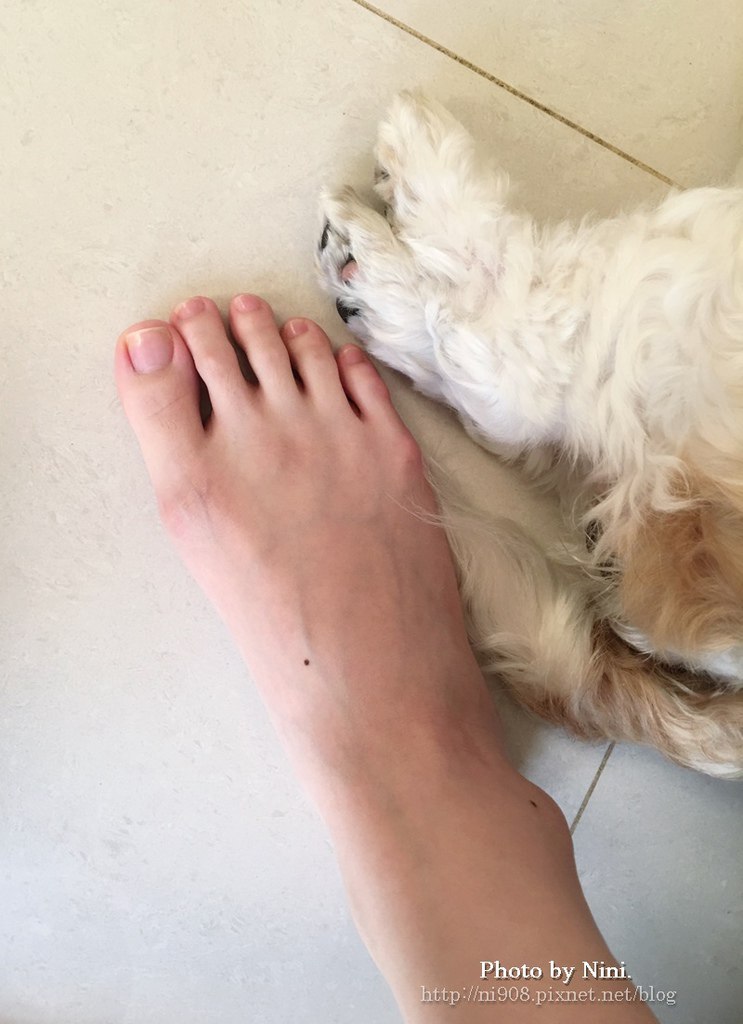 lovetoes1:  