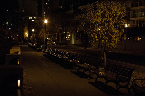 Nocturnaque Victoria Promenade