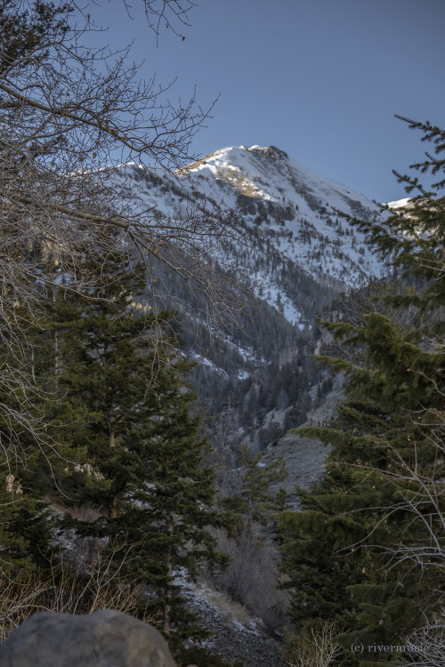 Deer Creek, Shoshone National Forest, Wyoming. So little snow this year. &copy; riverwindphotogr